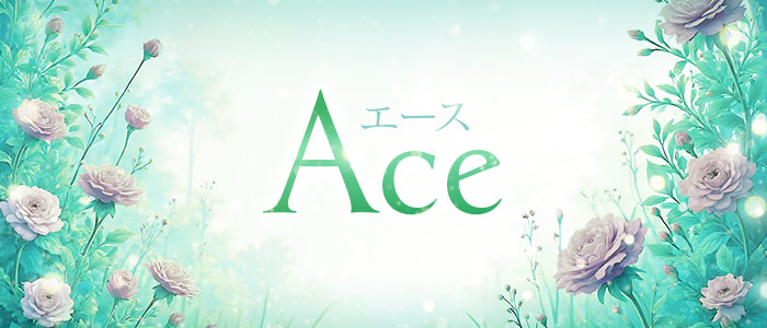 Ace〔エース〕の求人画像