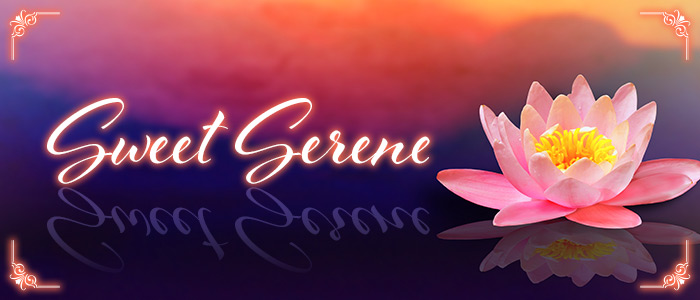 Sweet Sereneの求人画像