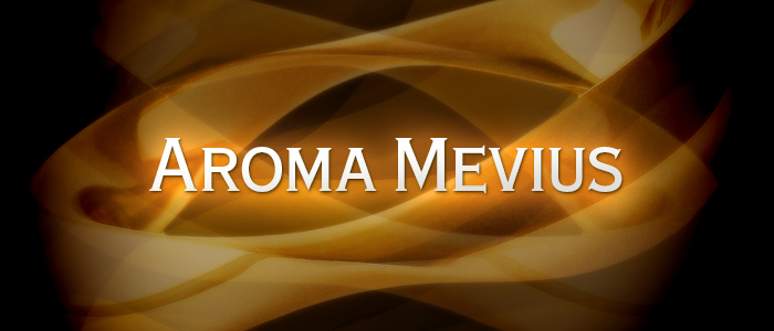 Aroma Meviusの求人画像