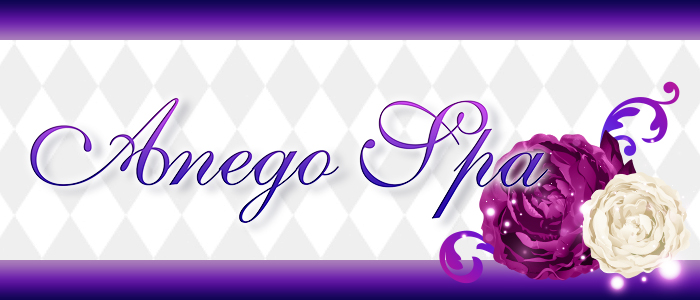 Anego Spa（アネゴスパ）の求人画像