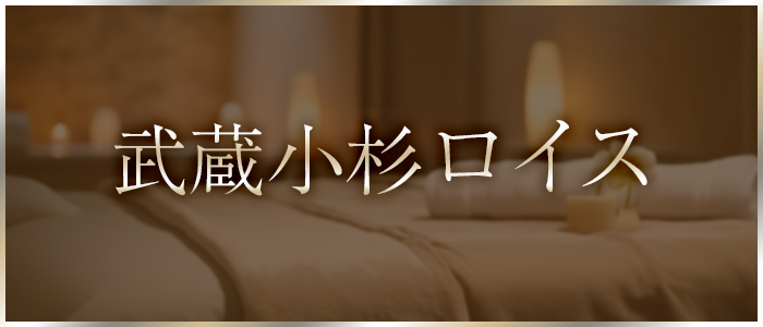 武蔵小杉ロイスの求人画像