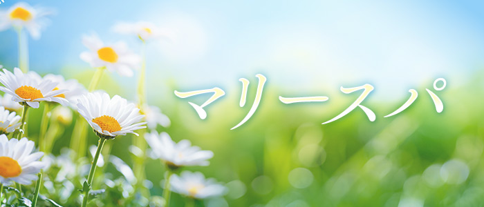 マリースパの求人画像