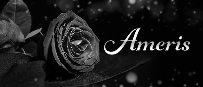 Amerisの求人画像