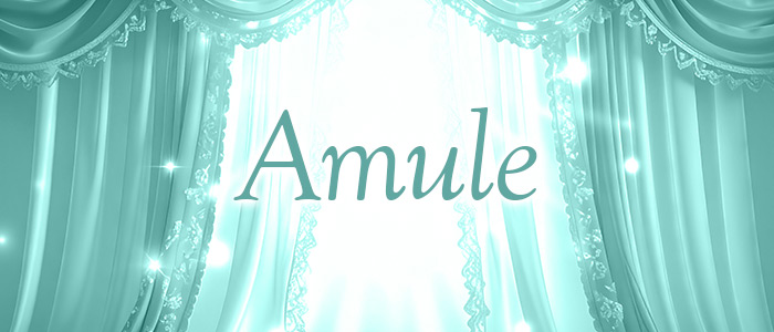 Amuleの求人画像