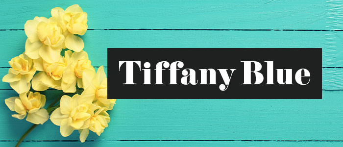 Tiffany Blueの求人画像