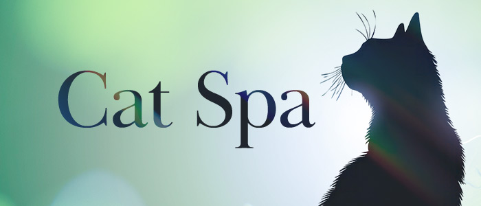 Cat Spaの求人画像