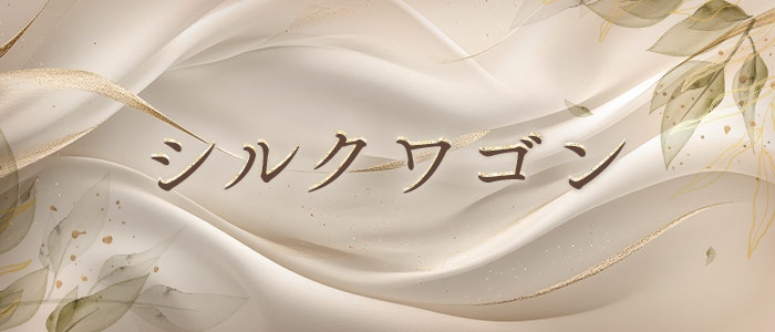 シルクワゴンの求人画像