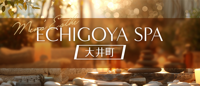 ECHIGOYA SPA 大井町の求人画像
