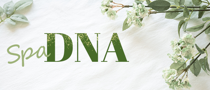 SPA DNAの求人画像