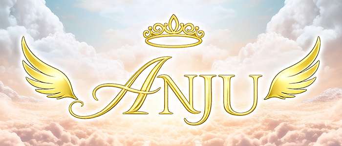 ANJUの求人画像