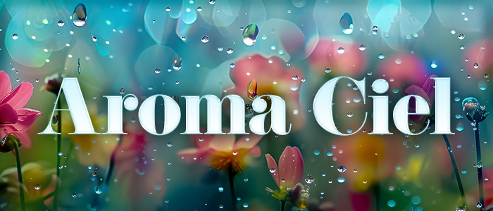 船橋メンズエステAroma Cielの求人画像