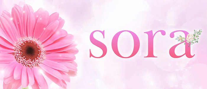 Soraの求人画像